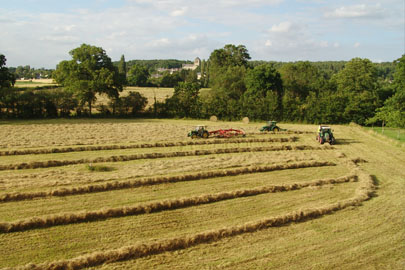 Farming the lands - B&B Loire - La Mothaye