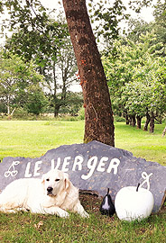 luna gite Le Petit Verger in Frankrijk Loire Vallei - vakantiehuis