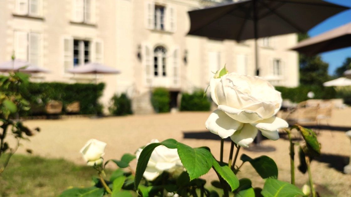 Chateau La Mothaye - appartement Loire vakantiehuis - terras 2