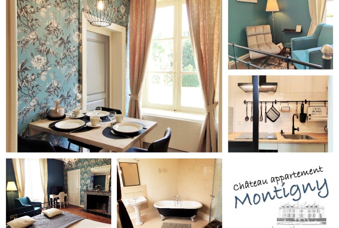 Chateau appartement Montigny - overview MQ